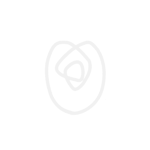 White ORD Rose Vector-1